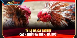 Tỷ Lệ Đá Gà 789BET – Cách Nhìn Gà Trên, Gà Dưới