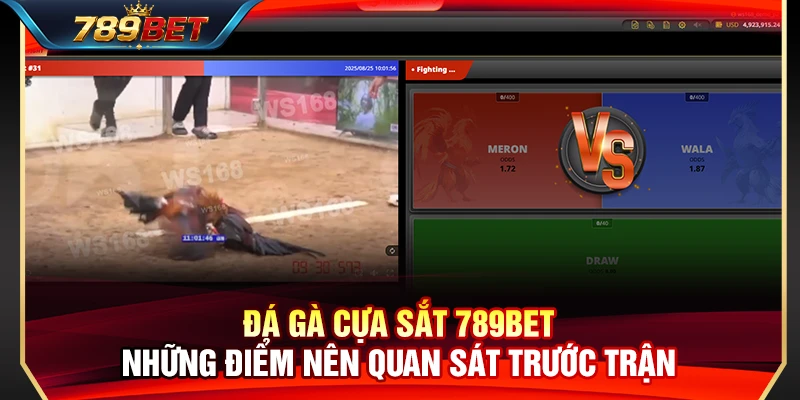 Đá Gà Cựa Sắt 789BET – Những Điểm Nên Quan Sát Trước Trận 1 Đá Gà Cựa Sắt 789BET – Những Điểm Nên Quan Sát Trước Trận