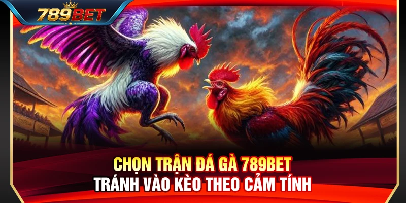 Quy trình đánh giá và lựa chọn trận đá gà 789BET bài bản 