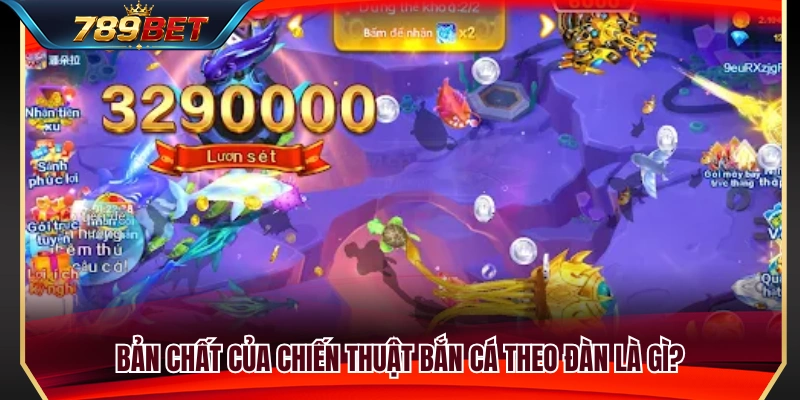 Tìm hiểu chiến thuật bắn cá theo đàn 