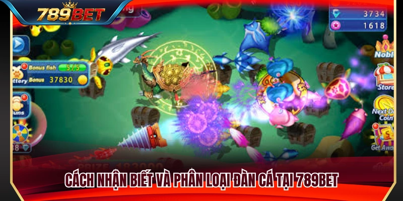 Kinh nghiệm nhận diện từng loại đàn cá để lựa chọn mục tiêu 