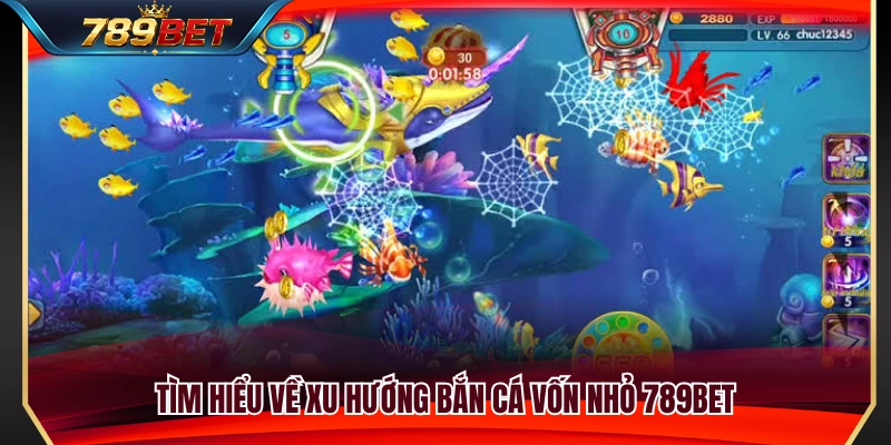 Tìm hiểu chiến lược bắn cá vốn nhỏ 789BET
