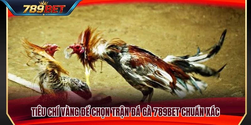 Những tiêu chí quan trọng khi chọn trận đá gà 789BET 