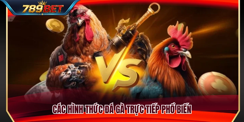 Đá Gà 789BET 2 Các hình thức đá gà 789BET phổ biến hiện nay