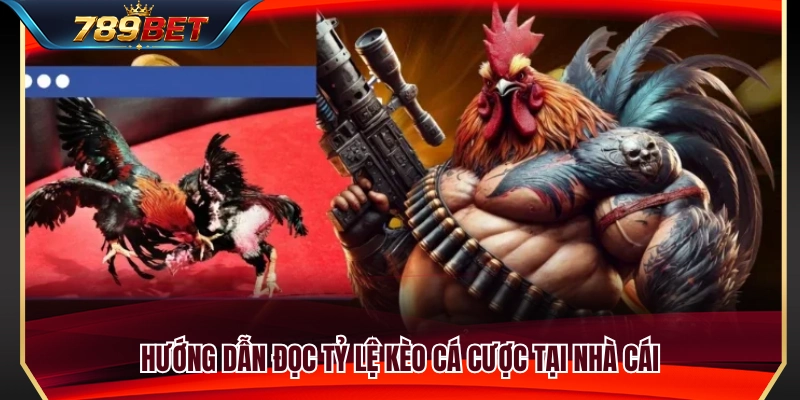 Đá Gà 789BET 3 Hướng dẫn nhận biết và phân tích bảng kèo chi tiết