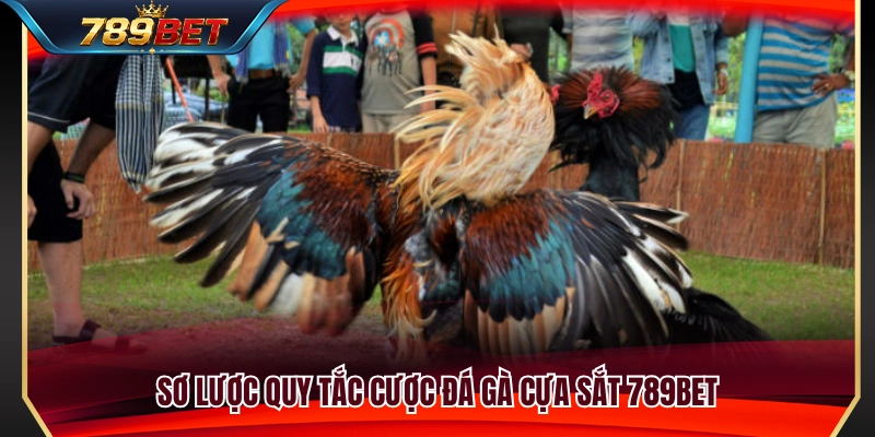 Đá Gà Cựa Sắt 789BET – Những Điểm Nên Quan Sát Trước Trận 2 Quy định cơ bản trong đá gà cựa sắt 789BET