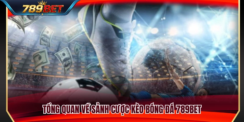 Kèo Bóng Đá 789BET – Cách Đọc Tỷ Lệ Trước Khi Chọn Cửa 2 Khám phá thông tin về kèo bóng đá 789BET