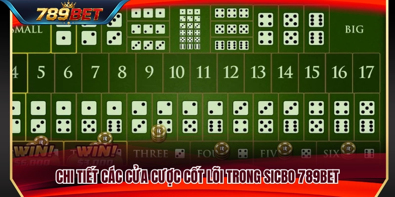 Những cửa cược phổ biến nhất trong Sicbo 789BET 