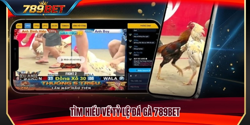 Tỷ Lệ Đá Gà 789BET – Cách Nhìn Gà Trên, Gà Dưới 2 Tổng quan về các loại tỷ lệ đá gà 789BET