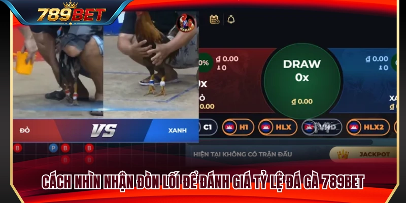 Tỷ Lệ Đá Gà 789BET – Cách Nhìn Gà Trên, Gà Dưới 4 Kinh nghiệm quan sát lối đá để tham khảo tỷ lệ đá gà 789BET